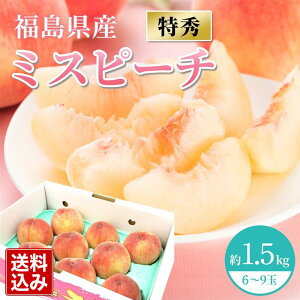 y7{JnzY~Xs[` G 1.5kg(6`9) ʕ t[c fU[g   s[`  G Gi