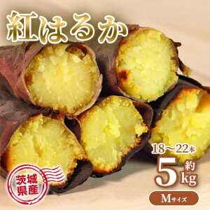 ܂ 5kg g͂邩 錧Y 18`22{O MTCY Â DX͒ʏi Tc}C ܈ ˂Ƃ Ƃ Ăɂ҂
