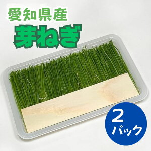 ˂ mY 2pbN K lM  i ӂ Ă ① N[ hg̘e il^ lM L