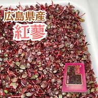 紅蓼 紅立 べにたで 広島県産 1パック 赤芽 紅たで 刺身 冷蔵 クール便 刺身つま 寿司の脇役 薬味