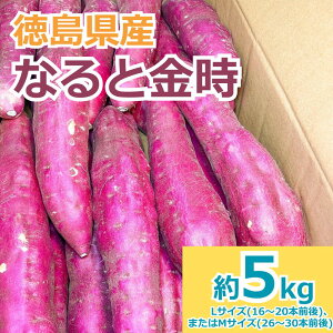 さつまいも 5kg なると金時 徳島県産 秀品 L〜Mサイズ 金時芋 鳴門金時 甘い サツマイモ さつま芋 ねっとり しっとり 焼き芋にぴったり