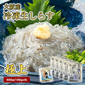 yɏzY Ⓚ炷 500gi100g×5j炷^4t Ⓚ VX VX Y Ⓚ NxQ  g؂