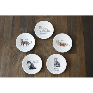 ۃؓ LM 5Zbg bsOL 0100-086-00 Mtg 蕨  M