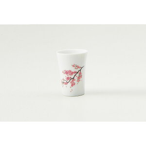 ۃؓ Jbv()  1 bsOL 0110-006-06 Mtg 蕨  