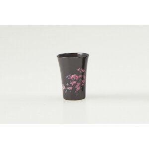 ۃؓ Jbv()  1 bsOL 0110-008-06 Mtg 蕨  