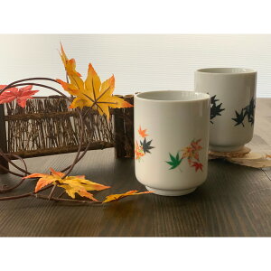 ۃؓ ] (gt)(B) 1 bsOL 0110-196-03 Mtg 蕨  