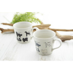 ۃؓ 錢}OJbv3 _VA bsOL 0771-010-18 Mtg 蕨  }OJbv