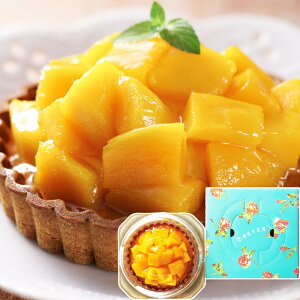 QP5{ Mtg P[L D ^g }S[ a15cm