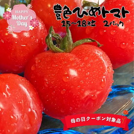 母の日2026 ギフト 愛知県産 艶ひめトマト(ぷちぷよトマト) 2パック 蒲郡 柔らかい 新食感 ミニトマト 丸進青果 冷蔵