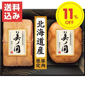 お中元 ギフト 2024 日本ハム 北海道産豚肉使用 美ノ国 2種2点入 UKH-55 ハム はむ 惣菜 セット 詰合せ 贈答