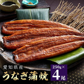 愛知県産うなぎ蒲焼 約250g×4尾入 タレ・山椒付 鰻 うなぎ 魚 蒲焼き