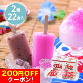200円OFFクーポン お中元 ギフト 2025 新潟ご当地アイス 2種22本入 御中元 夏ギフト アイス アイスクリーム