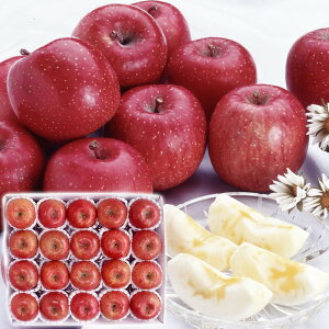 Ε Mtg 2025 X Tӂ 20 v5kg Ε ~MtgN  t[c