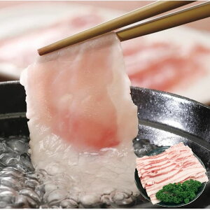 Ε Mtg 2025 { SPF oXCX v400g Ε ~MtgN  Ⓚ