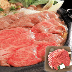 Ε Mtg 2025  _˃r[t ₫p 500g Ε ~MtgN  Ⓚ