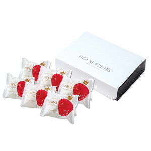 Ε Mtg 2025 zVt[c ܂̃N[啟 6 Ε ~Mtg aَq aXC[c Ⓚ