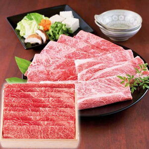 Ε Mtg 2025 _ˋ Ă v500g Ε ~MtgN  Ⓚ