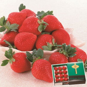 お歳暮 ギフト 2025 JAふくおか八女 博多あまおう 12〜18粒(計約350g) 御歳暮 冬ギフトお年賀 寒中見舞い フルーツ