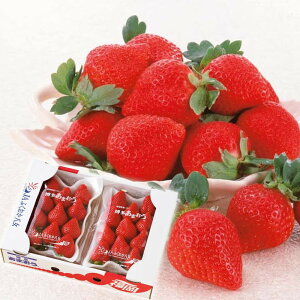 Ε Mtg 2025 JAӂ ܂ 270g×2pbN Ε ~MtgN  t[c