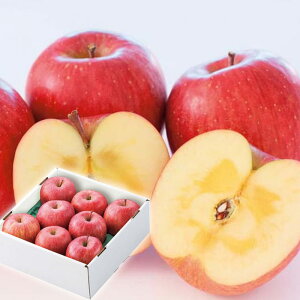 Ε Mtg 2025 R`Y Tӂ 6`10 v1.6kg Ε ~MtgN  t[c