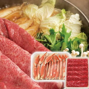 Ε Mtg 2025 {C킢I v700gƖkCYјaĂp v240g Ε ~Mtg   ₫ Ⓚ