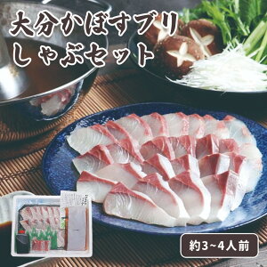 Ε Mtg 2025 啪ڂuԃZbg 3`4lO Ε ~Mtg y  Zbg Ⓚ