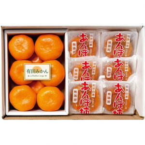 Ε Mtg 2025 a̎RY ۊ`&Lc݂ Ε ~MtgN  t[c