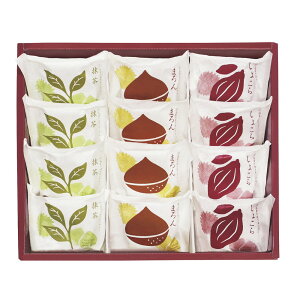 Ε Mtg 2025 s {V aȈĂu 312 Ε ~MtgXC[c َq mَq 퉷