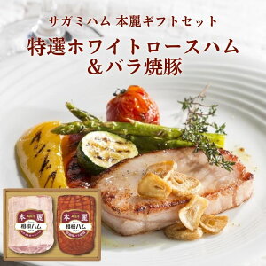 Ε Mtg 2025 TK~n {MtgZbg IzCg[Xn&oē SR-430 Ε N  n lߍ킹