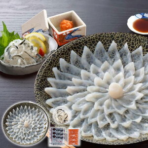 Ε Mtg 2025 ւƂ{X ƂӂhgZbg ||E݂낵t v8_ Ε ~MtgN  YHi