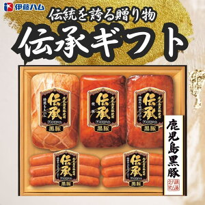 Ε Mtg 2025 ɓn ` ؃Mtg 45_ DB-55 Ε ~Mtgn lߍ킹 ①