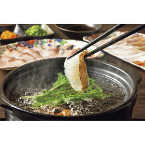 Ε Mtg 2025 BY ^ƂԂ̂Ԃԓ 3`4lO Ε ~Mtg y  Zbg Ⓚ