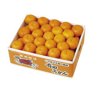 お歳暮 ギフト 2025 和歌山県産 有田みかん SまたはSSサイズ 計約2.8kg 御歳暮 冬ギフトお年賀 寒中見舞い フルーツ