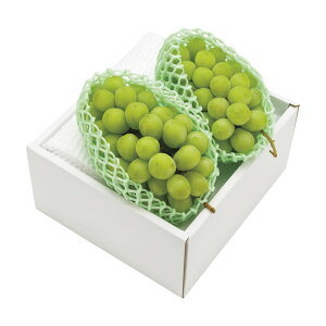 Ε Mtg 2025 R`Y VC}XJbg 2[ v1kg Ε ~MtgN  t[c