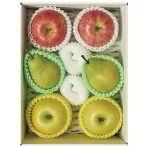 Ε Mtg 2025 R`Y 3̉ʎl v6 1.6kg Ε ~MtgN  t[c