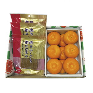 Ε Mtg 2025 ĂƌF{Y ݂ v1360g Ε ~MtgN  t[c