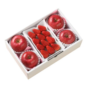 Ε Mtg 2025 y11{`12{zƃTӂ v1200g Ε ~MtgN  t[c