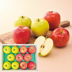 Ε Mtg 2025 XY Tӂ6&5 v3kg Ε ~Mtg t[c