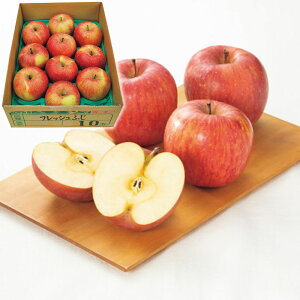 Ε Mtg 2025 XYtƂ炸Tӂ 9`12 2.8kg Ε ~Mtg t[c