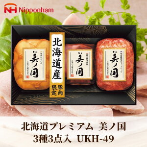 Ε Mtg 2025 {n kCv~A m 33_ UKH-49 Ε ~Mtg Hi n