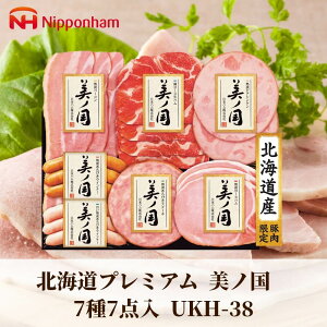 Ε Mtg 2025 {n kCv~A m 77_ UKH-38 Ε ~Mtg Hi n