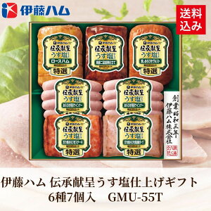 Ε Mtg 2025 ɓn `悤dグMtg 67 GMU-55T Ε ~Mtg Hi n