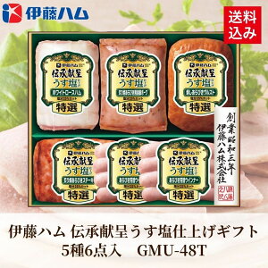 Ε Mtg 2025 ɓn `悤dグMtg 56_ GMU-48T Ε ~Mtg Hi n