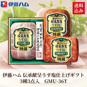 Ε Mtg 2025 ɓn `悤dグMtg 33_ GMU-36T Ε ~Mtg Hi n