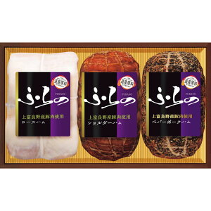 Ε Mtg 2025 xǖYؓgpMtgZbg 33 HK-RSPR Ε ~Mtg Hi n