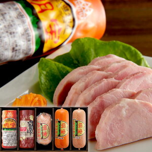 Ε Mtg 2025 nƃ\[Z[W̃oGeBl 55_ Ε ~Mtg Hi n