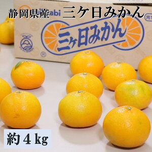 Ε Mtg 2025 ÉY O݂ 4kg/ 25`35 M`LTCY 