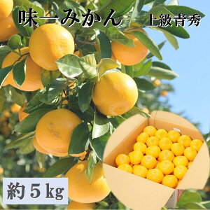 Ε Mtg 2025 a̎RY ݂ 5kg/ 40`60 S`LTCY ㋉G