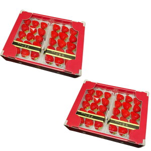 Ε Mtg 2025 mY ldt ڂ 4pbN 1.0kg 2LTCYȏ