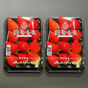 Ε Mtg 2025 mY   2pbN 0.5kg 2LTCYȏ